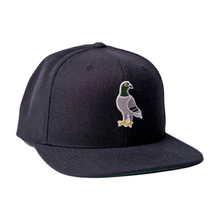 Pigeon Snapback