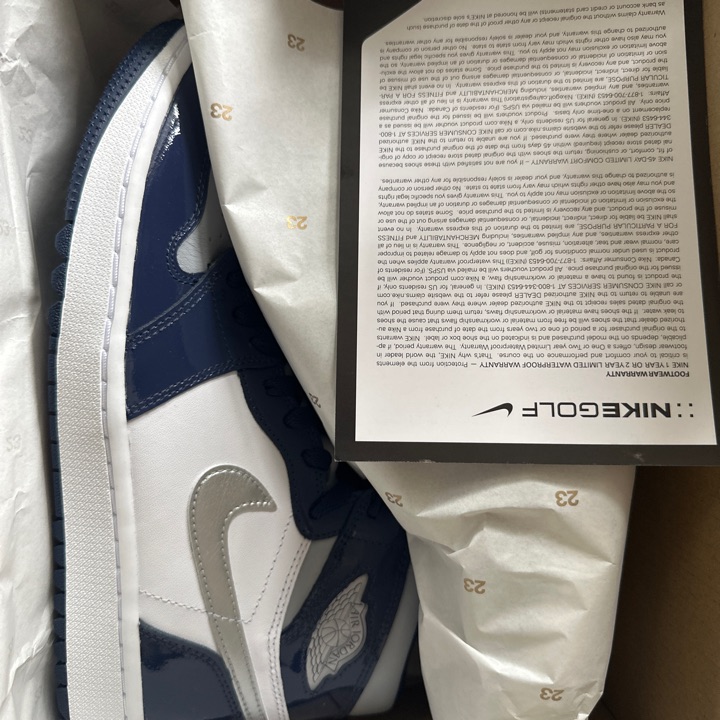 Air Jordan 1 High G