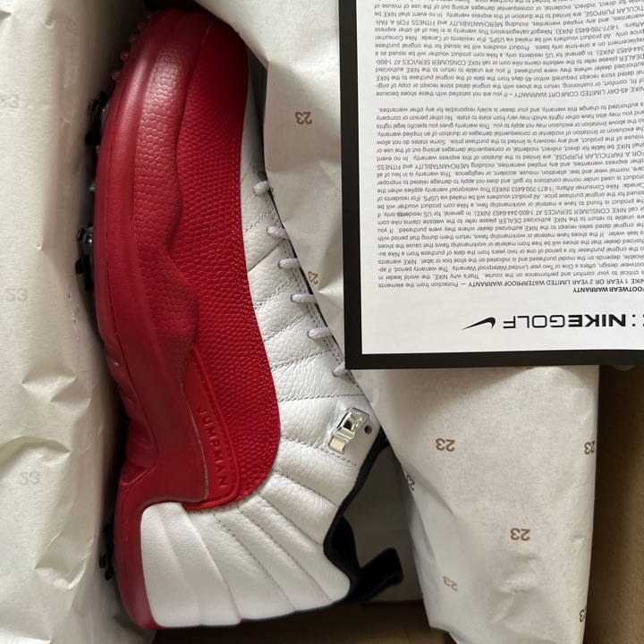 Air Jordan XII Low G