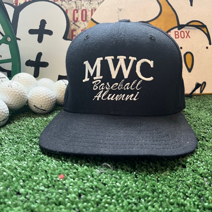 Vintage new era SnapBack
