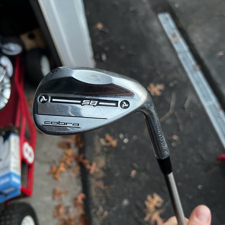 Cobra snakebite wedges