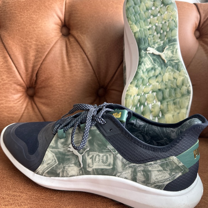 Puma $$$ Ignite Shoes