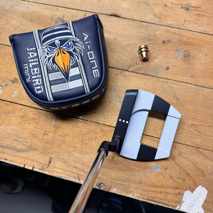 Odyssey Jailbird mini CH, 34”