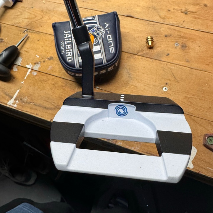 Odyssey Jailbird mini CH, 34” | MULLIE Golf
