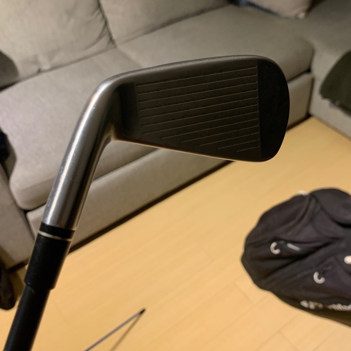 Taylormade P790 2 Iron UDI (Stiff) | MULLIE Golf