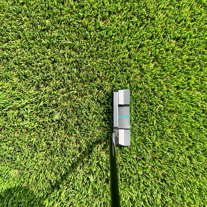 Embrace Putter