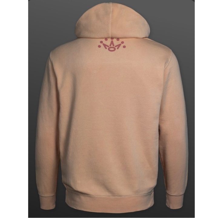 Sweat À Capuche Champion Bleu Ciel - 217858-BS146