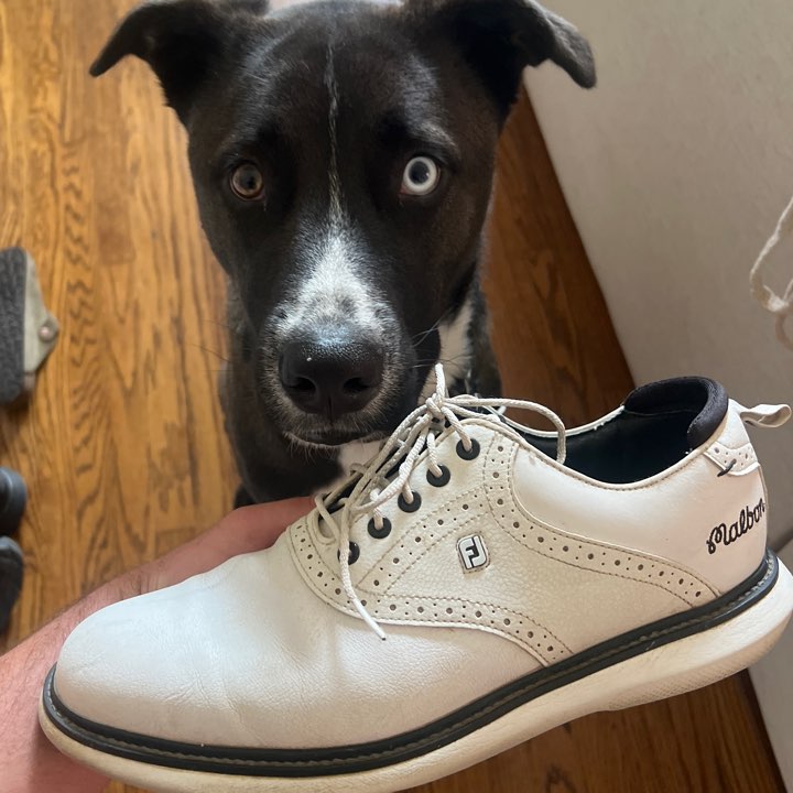Malbon x Footjoy Traditions (10) | MULLIE Golf