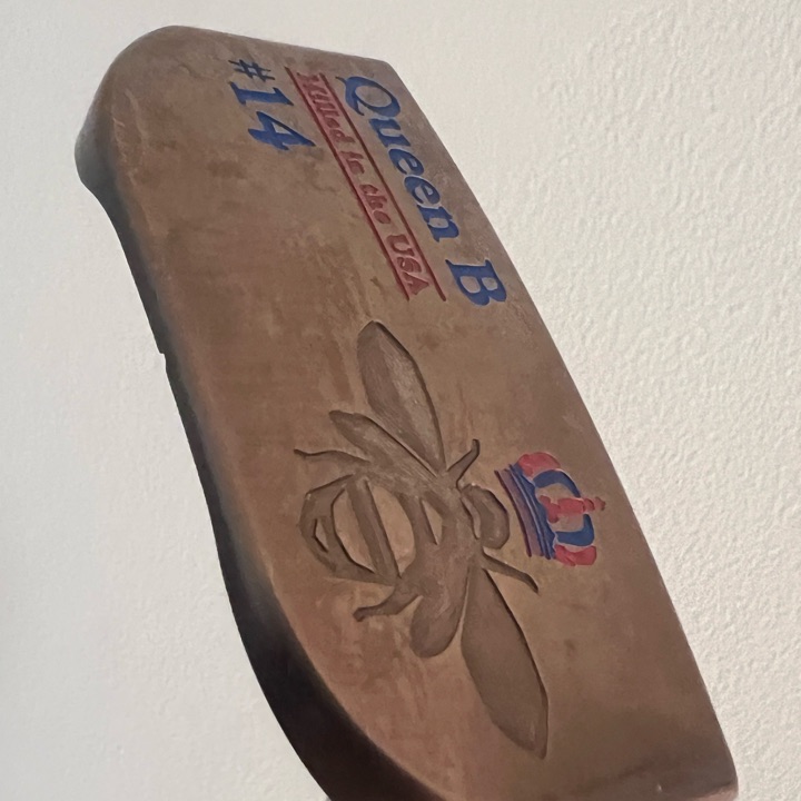 Bettinardi 2023 Queen B #14 Putter 35" RH Used