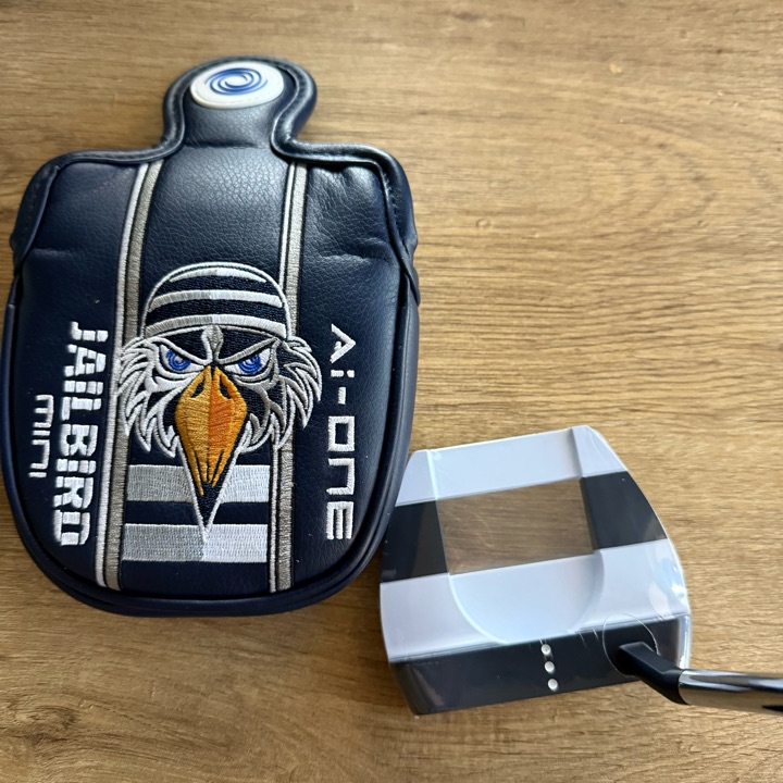 Odyssey AI One Jailbird Mini S 35in New