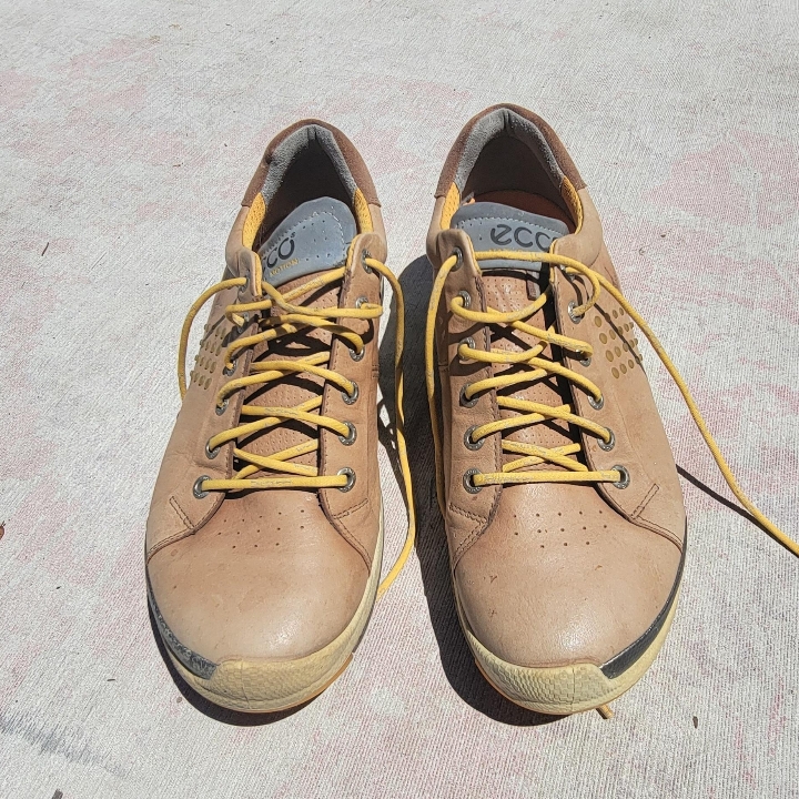 Ecco golf shoe size 42 used