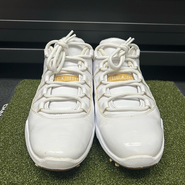 Jordan XI Golf | MULLIE Golf
