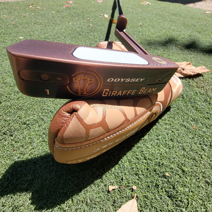 Odyssey giraffe beam #1 34